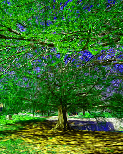 “Blanco River Tree Green” Computer Enhanced Photo on Aluminum, 24” x 20” by artist Nancy Wood. See her portfolio by visiting www.ArtsyShark.com