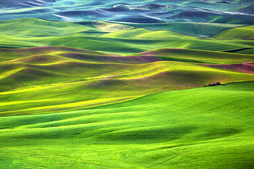 "Hillside Blues" Photography, Various Sizesby artist Dennis Sabo. See his portfolio by visiting www.ArtsyShark.com