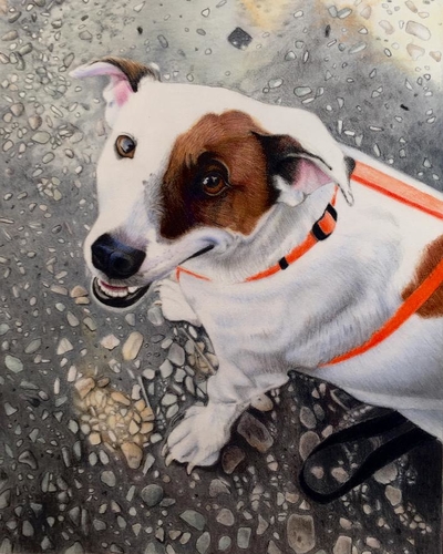 “Oreo” Colored Pencil on Suede, 11” x 14” by artist David Hoque. See his portfolio by visiting www.ArtsyShark.com