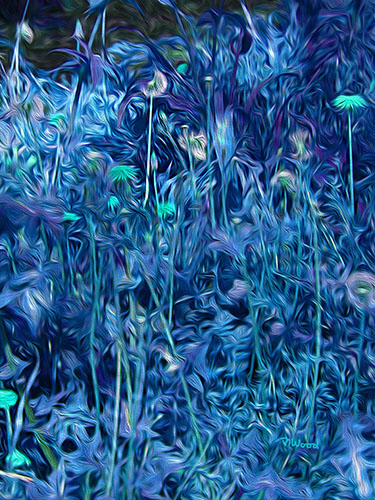 “Pedernales Tares Blue” Computer Enhanced Photo on Aluminum, 20” x 16” by artist Nancy Wood. See her portfolio by visiting www.ArtsyShark.com
