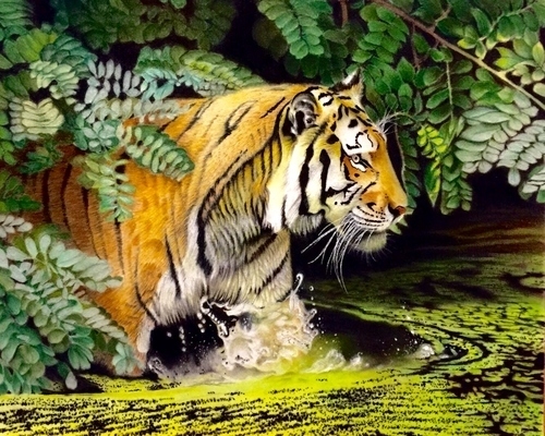 “Tiger in the Sundurban Delta” Colored Pencil on Suede, 14” x 11” by artist David Hoque. See his portfolio by visiting www.ArtsyShark.com