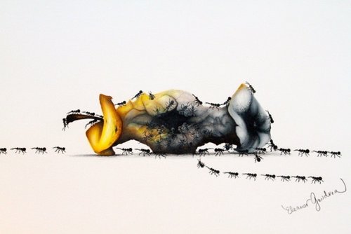 "Decomposing" Colored Pencil, 16" x 14" by artist Eleanor Goudreau. See her portfolio by visiting www.ArtsyShark.com
