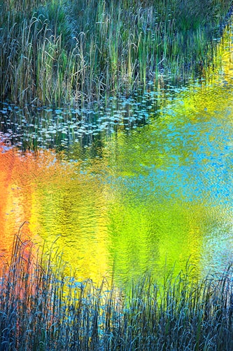 abstract impressionistic photography of a pond by Dennis Sabo