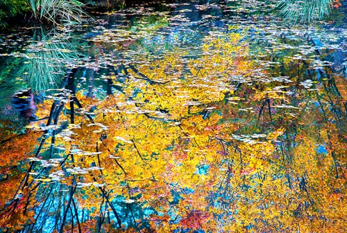 abstract impressionistic nature photography of a pond by Dennis Sabo