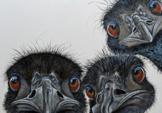 "Mulga Mob" Acrylic on Canvas, 100cm x 80cm by artist Fiona Groom. Visit www.ArtsyShark.com to see her portfolio.