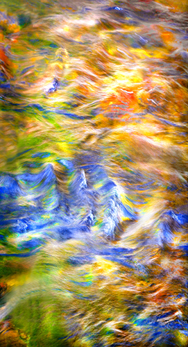 Fine art photography abstract fall colors
