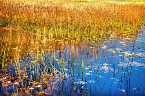 abstract impressionistic photography of a tarn by Dennis Sabo