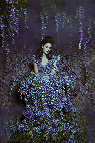 "Wisteria Princess" Photography, Various Sizes by artist Daniela Majic. See her portfolio by visiting www.ArtsyShark.com