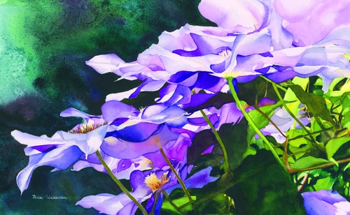 “Cascading Clematis” Watercolor, 10” x 16” by artist Nicki Isaacson. See her portfolio by visiting www.ArtsyShark.com