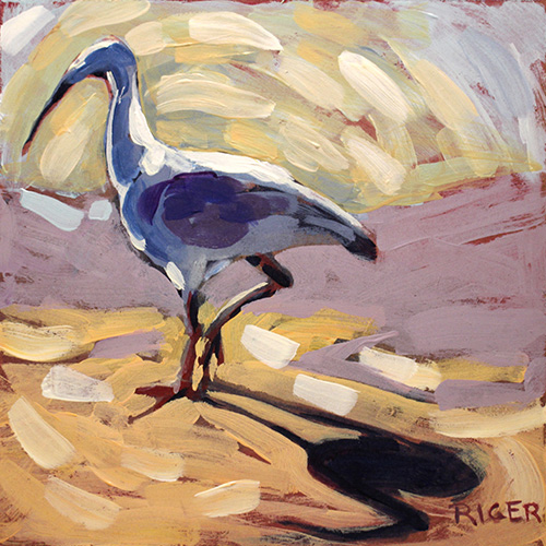 “G’Mornin’ Ibis” Acrylic on Board, 6” x 6” by artist Sue Riger. See her portfolio by visiting www.ArtsyShark.com
