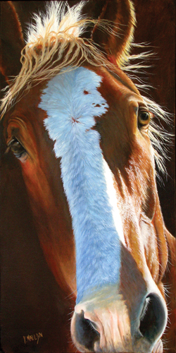 “Eye to Eye” Oil, 12” x 24” by artist Victoria Mauldin. See her portfolio by visiting www.ArtsyShark.com