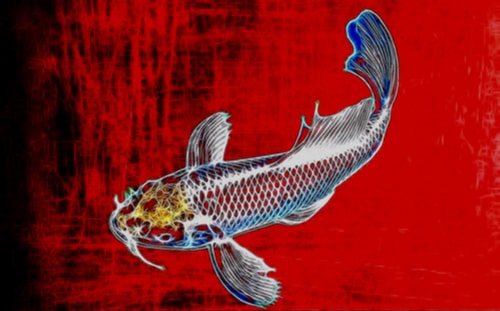 “Koi in Red” Digital Art on Wrapped Canvas, 30” x 20” by artist Robert Van Praag. See his portfolio by visiting www.ArtsyShark.com