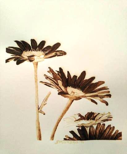 “Daisies” Burned on Paper, 17” x 14” by artist Marsha Wilson. See her portfolio by visiting www.ArtsyShark.com