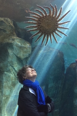 Photo of artist Mary Kay Neumann with Sunflower Sea Star in Newport, Oregon Aquarium. See her portfolio by visiting www.ArtsyShark.com