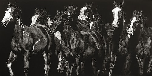 “Flying Colors” Scratchboard, 30” x 15”by artist Julie Chapman. See her portfolio by visiting www.ArtsyShark.com 