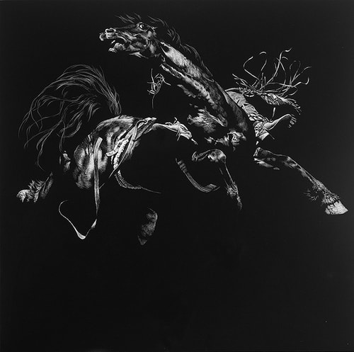 “Forking the Hurricane Deck” Scratchboard, 24” x 24” (the title comes from rodeo slang for the back of a bronc) by artist Julie Chapman. See her portfolio by visiting www.ArtsyShark.com