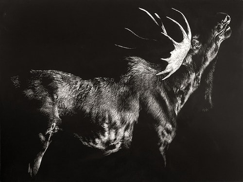 “Lovestruck (Sun Salutation)” Scratchboard, 32” x 24”by artist Julie Chapman. See her portfolio by visiting www.ArtsyShark.com 