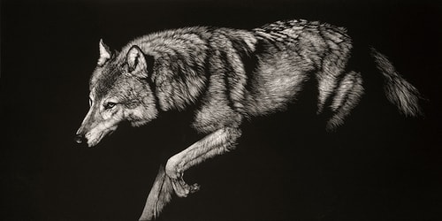 “Mama Wolf” Scratchboard, 40” x 20” (the first piece I created after my mother’s death in October 2016)by artist Julie Chapman. See her portfolio by visiting www.ArtsyShark.com 