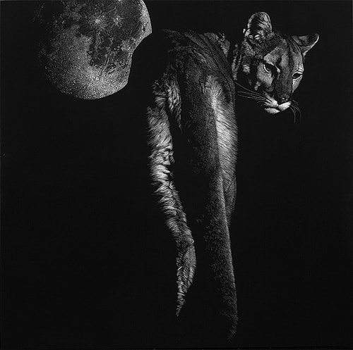 “Seduction” Scratchboard, 24” x 24” by artist Julie Chapman. See her portfolio by visiting www.ArtsyShark.com