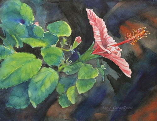 “Small Hibiscus” Watercolor, 13” x 11” by artist Gary Cadwallader. See his portfolio by visiting www.ArtsyShark.com