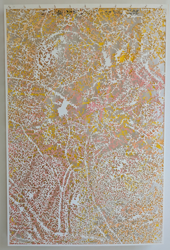 “Field Study, Penumbra” Cut Paper, 20” x 30” x 3” by artist Blake Conroy. See his portfolio by visiting www.ArtsyShark.com