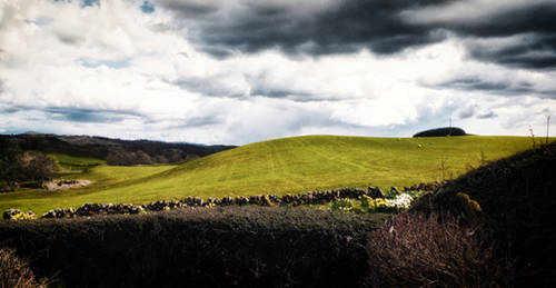 “Scottish Afternoon” Photography, Limited Edition, 17” x 11” by artist Ron Colbroth. See his portfolio by visiting www.ArtsyShark.com