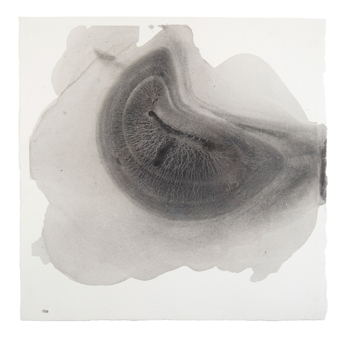 "Sediment #6" graphite on paper, 50 x 50 cm by Simon Williams. See his artist feature at www.ArtsyShark.com