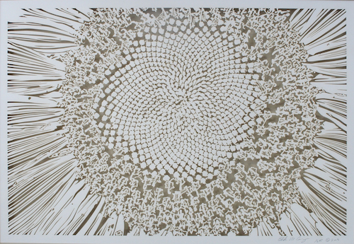 “Sunflower” Cut Paper, 23” x 17” x 3” by artist Blake Conroy. See his portfolio by visiting www.ArtsyShark.com