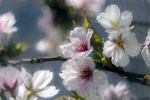 “Season to Be Cheerful” Photography, Various Sizesby artist F. M. Kearney. See his portfolio by visiting www.ArtsyShark.com 