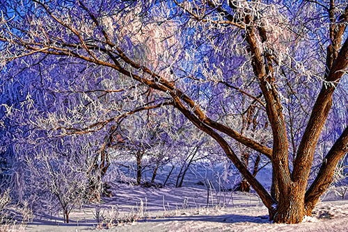 "Frosty Morning" Digital Painting, 21" x 14"by artist Carl Gethmann. See his portfolio by visiting www.ArtsyShark.com 