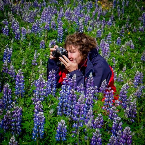 Photographer Karen Shulman. Read about her at www.ArtsyShark.com