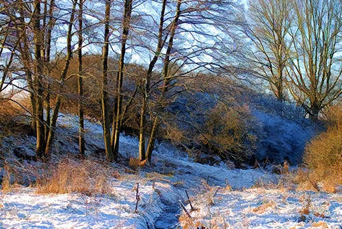 "Winter Afternoon" Digital Painting, 24" x 16"by artist Carl Gethmann. See his portfolio by visiting www.ArtsyShark.com 