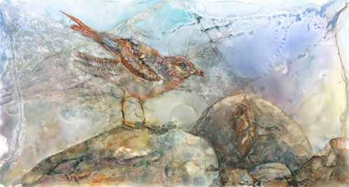 “Gull on Rocks” Watercolor, 21” x 11”by artist Katherine Weber. See her portfolio by visiting www.ArtsyShark.com 