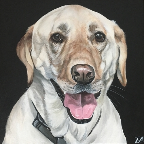"Bailey" by Rachelle Albright. See her portfolio by visiting www.ArtsyShark.com