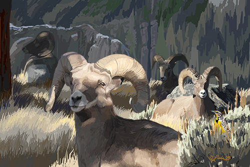 “Big Horn Boys” Digital Painting, 24” x 16” by artist Pam Little. See her portfolio by visiting www.ArtsyShark.com