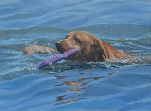 "Frisbee Retriever" by Debbie Hughbanks. See her portfolio by visiting www.ArtsyShark.com