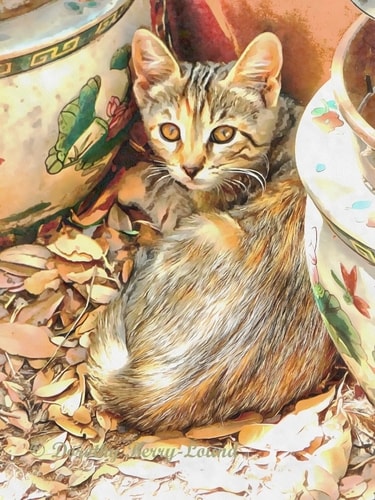 Cat Portrait by Dorothy Berry-Lound. See her portfolio by visiting www.ArtsyShark.com