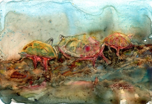 “Turtle Trio” Watercolor, 6.5” x 3.5” by artist Katherine Weber. See her portfolio by visiting www.ArtsyShark.com