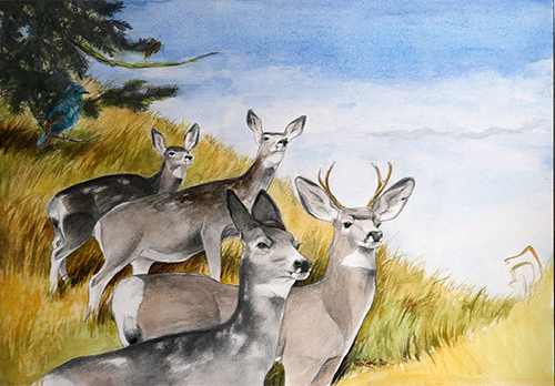 “Who Goes There” Graphite and Watercolor, 14” x 10”by artist Pam Little. See her portfolio by visiting www.ArtsyShark.com