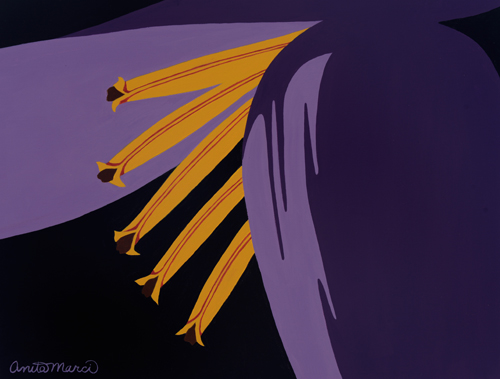 "Banana Flower" Acrylic on Canvas, 16" x 12" by artist Anita Marci. See her portfolio by visiting www.ArtsyShark.com