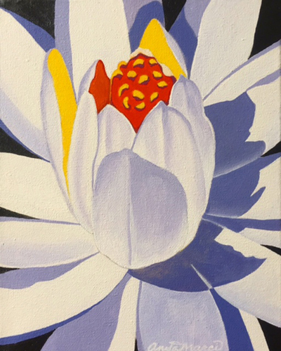 "White Water Lily" Acrylic on Canvas, 8" x 10" by artist Anita Marci. See her portfolio by visiting www.ArtsyShark.com