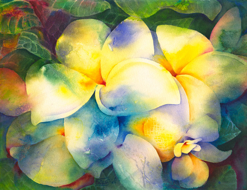 “Misty Morning Plumeria” Watercolor, 15” x 11” by artist Patrice A. Felderspiel. See her portfolio by visiting www.ArtsyShark.com