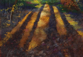 “Spokes-Autumn” Pastel, 24” x 36” by artist Lynn Goldstein. See her portfolio by visiting www.ArtsyShark.com