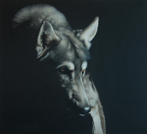 "Hector" Acrylic on Canvas, 91cm x 84cm by artist Carla Grace. See her portfolio by visiting www.ArtsyShark.com