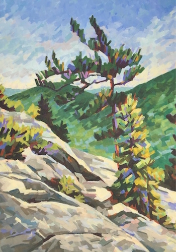 "Cliff Trees White Mountains" Acrylic on Canvas, 24" x 30" by Jennifer Van Cor. See her portfolio by visiting www.ArtsyShark.com