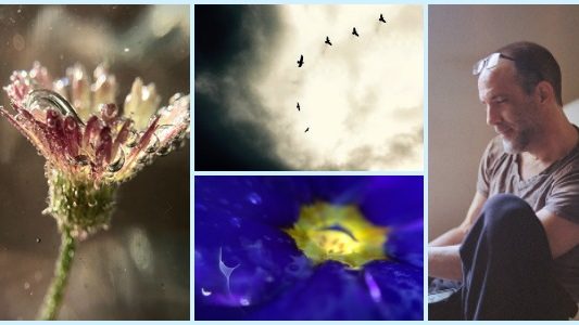 Photographer Michael Van Huffel is a "non-jaded believer in the power of art." See his interview at www.ArtsyShark.com