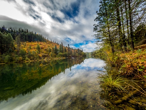 "Fall on Lewiston Lake" Photography, Various Sizesby artist Michele James. See her portfolio by visiting www.ArtsyShark.com 