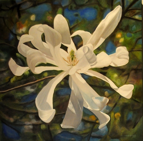 "Chinese Magnolia" Oil on Canvas, 30" x 30" by artist Lola Stanton. See her portfolio by visiting www.ArtsyShark.com