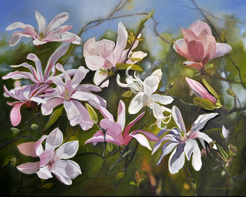 "Chinese and Cup Magnolias" Oil on Canvas, 30" x 24" by artist Lola Stanton. See her portfolio by visiting www.ArtsyShark.com