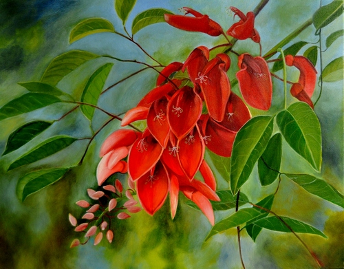 "Cockspur Coral Tree" Oil on Canvas, 20" x 16" by artist Lola Stanton. See her portfolio by visiting www.ArtsyShark.com